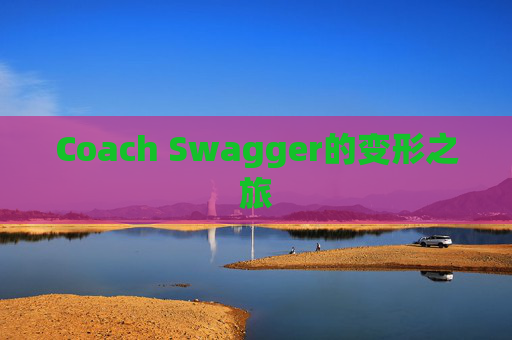Coach Swagger的变形之旅